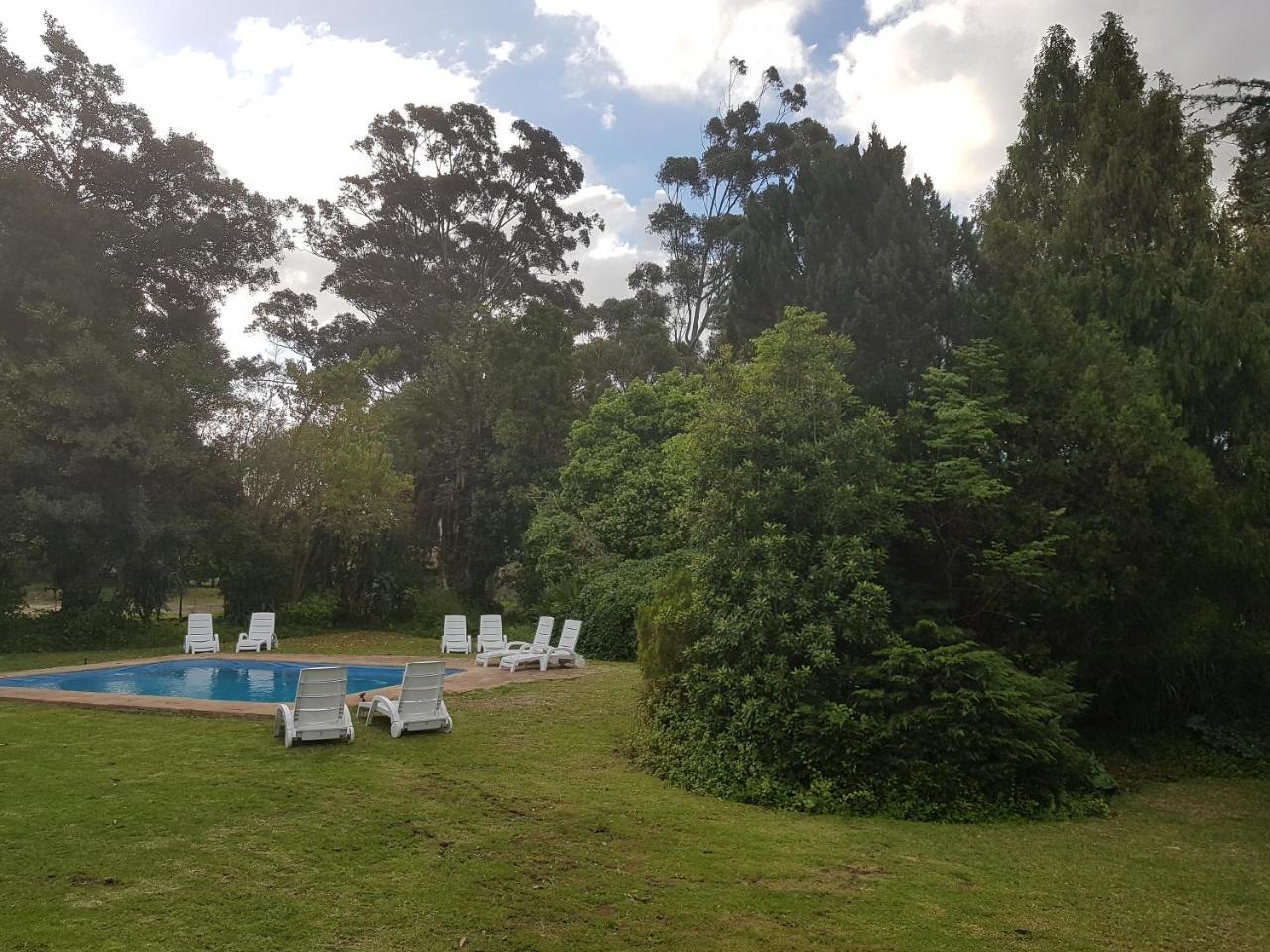 Te Amo Guesthouse Municipalità locale di Municipalità locale di Stellenbosch Esterno foto